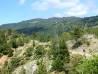 La forestale che si sviluppa in cresta sulle colline tra Ovada e Rossiglione