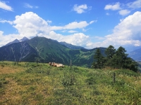 Alp Sut - Panorama