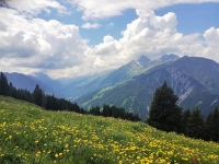 Alp Sura - Panorama sul comprensorio Laax-Flims