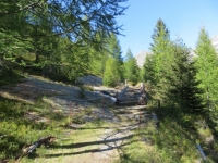 Il sentiero che corre in quota in direzione di Dagro - attraversamento di ponticello in legno