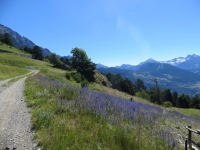 In direzione dell' Alpe Les Boettes