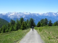 Salita al Col Portola - nei pressi dell'Alpe Champ Cellier