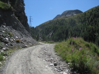 Vallone dell'Urtier, salita all'Alpe Peradzà
