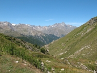 Panoramica sulla strada percorsa per l'ascesa dall'Alpe Tsavanis