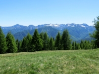 Panorama sui rilievi Vigezzini e della Val Grande - Colma di Craveggia