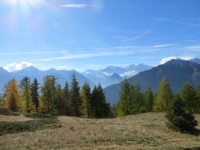 Tra l'Alpe Marsasca e l'Alpe Coatè, panorama (al centro il