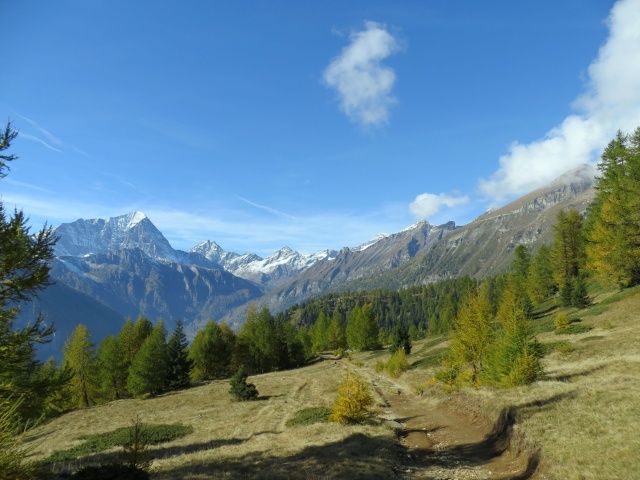 Tra l'Alpe Marsasca e l'Alpe Coatè, sullo sfondo, da sinistra, il Monte Leone, la Punta Terrarossa e la Punta d'Aurona
