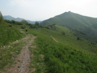Dorsale lariana - monte Bolettone nei pressi della Bocchetta di Molina