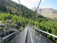 Discesa su sentiero alpino da Trockener Steg - Attraversamento del Ponte Tibetano
