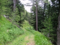 La forestale che collega Unners Sänntum con Gibidum