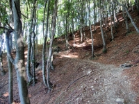 Bel tratto ciclabile di sentiero tra la Capanna Pairolo e la bocchetta di S. Bernardo