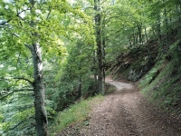 Val Colla Tour - DH Piandanazzo10