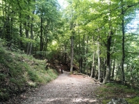 Val Colla Tour - DH Piandanazzo11