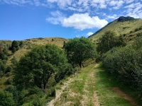 Val Colla Tour - DH Piandanazzo12