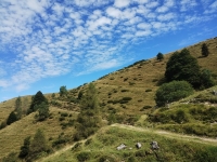 Val Colla Tour - DH Piandanazzo13