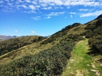 Val Colla Tour - DH Piandanazzo17