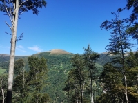 Val Colla Tour - DH Piandanazzo2