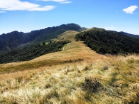 Val Colla Tour - DH Piandanazzo31