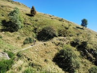 Val Colla Tour - DH Piandanazzo35