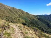 Val Colla Tour - DH Piandanazzo38