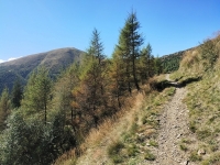 Val Colla Tour - DH Piandanazzo46