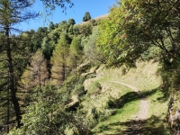 Val Colla Tour - DH Piandanazzo47