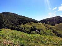 Val Colla Tour - DH Piandanazzo5