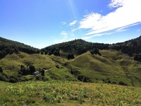 Val Colla Tour - DH Piandanazzo6