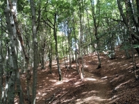 Val Colla Tour - DH Piandanazzo9