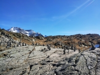 Passo del San Bernardino