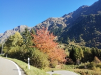 Val Mesolcina - Da Mesocco in direzione di San Bernardino