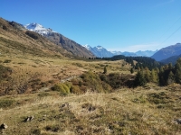 Discesa su sentiero dal Passo del San Bernardino - Panorama