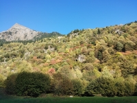 Discesa a Mesocco - Colori autunnali