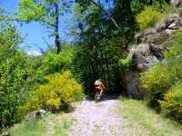 La forestale che risale la Val Onsernone