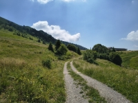 IMG_20260704_122346949_HDR