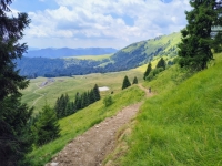 IMG_20260704_125719735_HDR