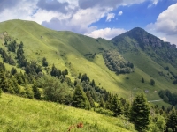 IMG_20260704_130146340_HDR