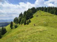 IMG_20260704_130847265_HDR