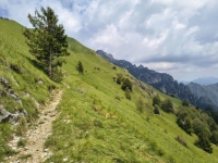 IMG_20260704_135825225_HDR