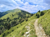 IMG_20260704_135831834_HDR