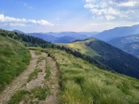 IMG_20260704_174950722_HDR
