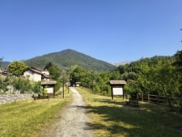 IMG_20260622_093423542_HDR