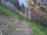 IMG_20260622_100152819_HDR