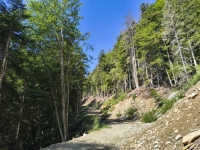 IMG_20260622_103306391_HDR