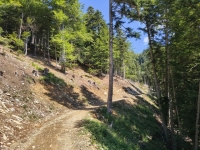 IMG_20260622_104236362_HDR