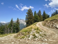 IMG_20260622_105406723_HDR