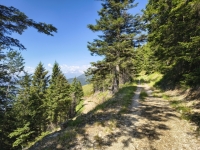 IMG_20260622_110342143_HDR