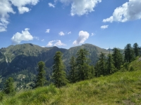 IMG_20260622_111647059_HDR