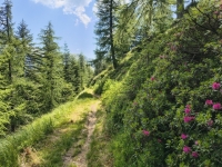 IMG_20260622_112248050_HDR