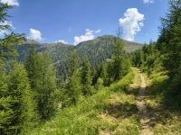IMG_20260622_112814438_HDR